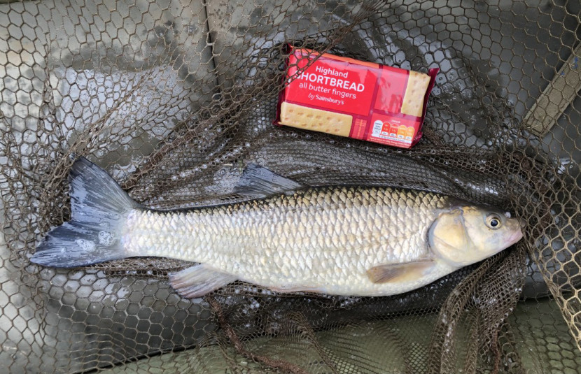 Foy Bridge chub for GK from Bentley